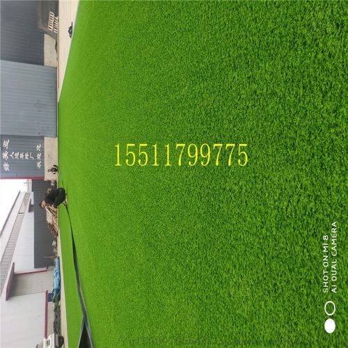 草坪厂家求购指南 什么品牌好？